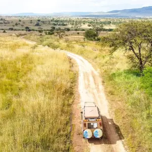 Explore From Arusha: 5 Days Wildlife Odyssey Safari Cats, Calves & Crater, Ngorongoro,Tarangire for 5 days with Beach and Safari Holidays and discover unforgettable experiences - Photo 6