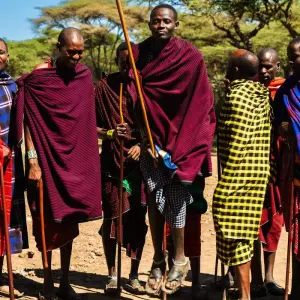 Explore From Arusha 6 days Great Northern Circuit Wildlife Safari: Tarangire, Lakes Natron/ Manyara, Serengeti for 6 days with Beach and Safari Holidays and discover unforgettable experiences - Photo 5