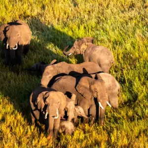 Explore From  Arusha 6 days Beyond Borders Safari: A Tanzanian Adventure Through Landscapes & Wildlife, Lake Natron, Serengeti,Tarangire for 6 days with Beach and Safari Holidays and discover unforgettable experiences - Photo 6