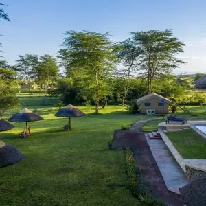 Explore From Arusha: 9-Day Safari Flexible Migration Roundtrip Multi-Park Game Drive with Accommodation for 9 days with Beach and Safari Holidays and discover unforgettable experiences - Photo 6