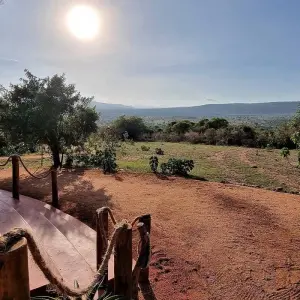 Explore From Arusha: 9-Day Safari Flexible Migration Roundtrip Multi-Park Game Drive with Accommodation for 9 days with Beach and Safari Holidays and discover unforgettable experiences - Photo 7