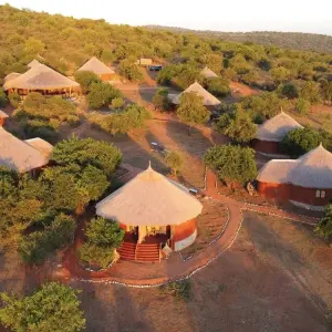 Explore From Arusha: 9-Day Safari Flexible Migration Roundtrip Multi-Park Game Drive with Accommodation for 9 days with Beach and Safari Holidays and discover unforgettable experiences - Photo 8