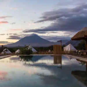 Explore From Arusha: 9-Day Safari Flexible Migration Roundtrip Multi-Park Game Drive with Accommodation for 9 days with Beach and Safari Holidays and discover unforgettable experiences - Photo 10