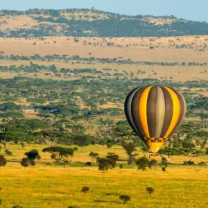 Explore From Arusha: 11 Days famous Serengeti Inside out safari for 11 days with Beach and Safari Holidays and discover unforgettable experiences - Photo 9