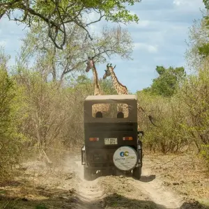 Explore From Zanzibar 11 days Zanzibar & Selous Game Reserve Safari family package for 11 days with Beach and Safari Holidays and discover unforgettable experiences - Photo 2