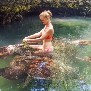 Explore From Zanzibar 11 days A Perfect Blend of Zanzibar's Beaches and Tanzania's Wildlife Serengeti, Lake Natron, Ngorongoro, Tarangire safari trip for 11 days with Beach and Safari Holidays and discover unforgettable experiences - Photo 4