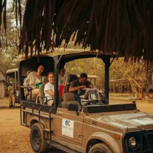 Explore From Zanzibar to Selous  8 days : Selous Game Reserve safari trip and Tropical island experience for 8 days with Beach and Safari Holidays and discover unforgettable experiences - Photo 9