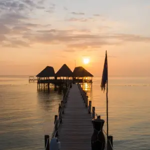 Explore From Arusha to Zanzibar : 12 days Best of Both Worlds, The Ultimate Beach & Safari Holiday : Tarangire, L.Manyara, Serengeti for 12 days with Beach and Safari Holidays and discover unforgettable experiences - Photo 3