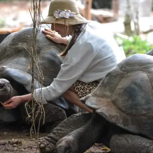 Explore Zanzibar : 7 days Beach & Safari Holiday, Selous Game Reserve adventure for 7 days with Beach and Safari Holidays and discover unforgettable experiences - Photo 10