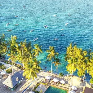 Explore From Zanzibar : 15 days The Best Taste of Wildlife, Culture and Beach, Selous G.R Safari for 15 days with Beach and Safari Holidays and discover unforgettable experiences - Photo 3