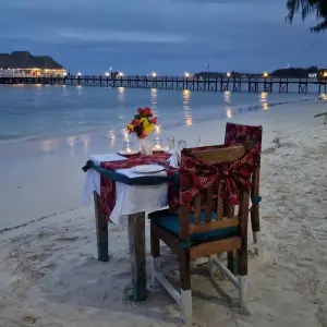 Explore From Zanzibar 11 days Zanzibar & Selous Game Reserve Safari family package for 11 days with Beach and Safari Holidays and discover unforgettable experiences - Photo 5