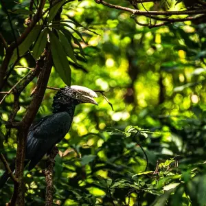 Explore From Zanzibar 15 days Discover The Real Africa From Lake Manyara, Maasai Boma Safari & Excursion for 15 days with Beach and Safari Holidays and discover unforgettable experiences - Photo 4