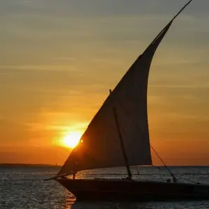 Explore From Zanzibar to Selous : 13 days Beach and Safari Holiday for 13 days with Beach and Safari Holidays and discover unforgettable experiences - Photo 5