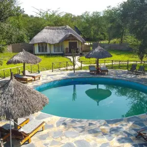 Explore From Zanzibar : 2 Day Safari Selous Game Reserve for 2 days with Beach and Safari Holidays and discover unforgettable experiences - Photo 2