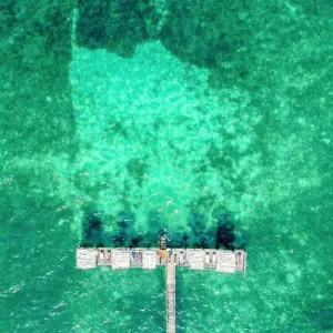 Explore From Zanzibar 11 days Zanzibar & Selous Game Reserve Safari family package for 11 days with Beach and Safari Holidays and discover unforgettable experiences - Photo 7