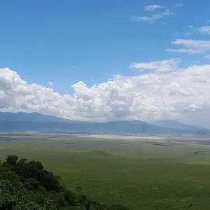 Explore From Zanzibar: 2 Days Private Safari Ngorongoro with Flights for 2 days with Beach and Safari Holidays and discover unforgettable experiences - Photo 3
