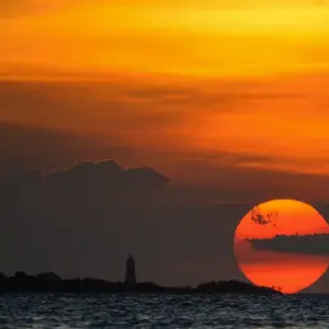 Explore From Zanzibar 11 days Zanzibar & Selous Game Reserve Safari family package for 11 days with Beach and Safari Holidays and discover unforgettable experiences - Photo 8