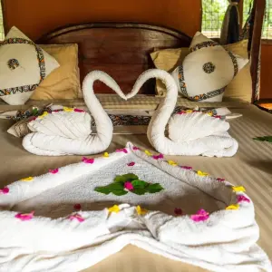 Explore From Zanzibar: 2 Days Selous Full-Day Safari Game Drive for 2 days with Beach and Safari Holidays and discover unforgettable experiences - Photo 4