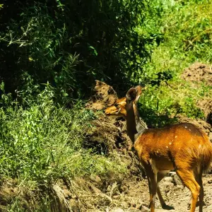 Explore From Zanzibar 15 days Discover The Real Africa From Lake Manyara, Maasai Boma Safari & Excursion for 15 days with Beach and Safari Holidays and discover unforgettable experiences - Photo 7