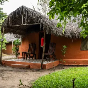 Explore From Zanzibar: 2 Days Selous Full-Day Safari Game Drive for 2 days with Beach and Safari Holidays and discover unforgettable experiences - Photo 5