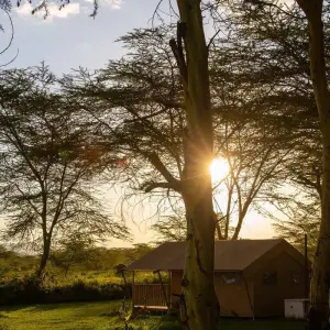 Explore From Zanzibar 15 days Surprising Tanzania and Zanzibar, Jewel of the Indian Ocean, Tarangire, Serengeti safari trip for 15 days with Beach and Safari Holidays and discover unforgettable experiences - Photo 9