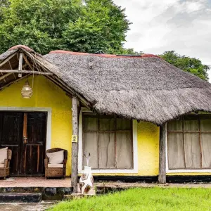 Explore From Zanzibar: 2 Days Selous Full-Day Safari Game Drive for 2 days with Beach and Safari Holidays and discover unforgettable experiences - Photo 6