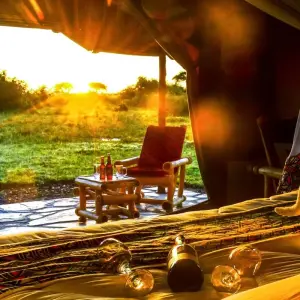 Explore From Zanzibar: 4 Days Serengeti Safari trip experience for 4 days with Beach and Safari Holidays and discover unforgettable experiences - Photo 2