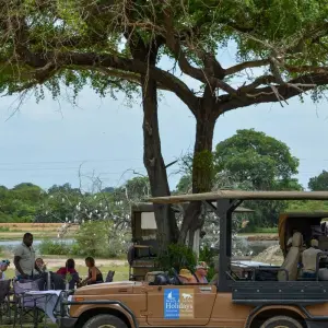 Explore From Zanzibar Selous Safari Trip 2 Full-Day Safari Game Drive for 3 days with Beach and Safari Holidays and discover unforgettable experiences - Photo 4