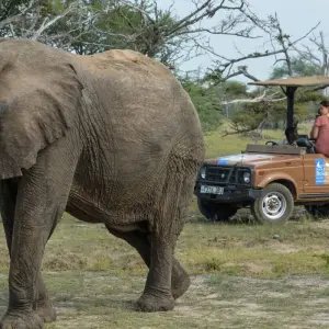 Explore From Zanzibar : 15 days The Best Taste of Wildlife, Culture and Beach, Selous G.R Safari for 15 days with Beach and Safari Holidays and discover unforgettable experiences - Photo 11