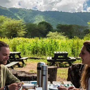Explore From Zanzibar: 2 Days Private Safari Ngorongoro with Flights for 2 days with Beach and Safari Holidays and discover unforgettable experiences - Photo 9