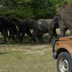 Explore From Zanzibar : 2 Day Safari Selous Game Reserve for 2 days with Beach and Safari Holidays and discover unforgettable experiences - Photo 11