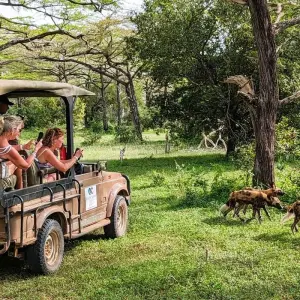 Explore From Zanzibar to Selous G.R: 5 days Wilderness Escape: 3 Full-Day Game Drive Safari and Excursions for 5 days with Beach and Safari Holidays and discover unforgettable experiences - Photo 7