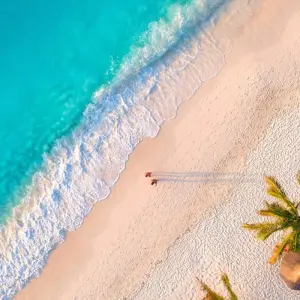 Explore Zanzibar Beach & Ocean Holiday Trip for 8 days with Beach and Safari Holidays and discover unforgettable experiences - Photo 6