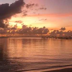 Explore Culture & Beach Holiday Trip for 8 days with Beach and Safari Holidays and discover unforgettable experiences - Photo 8