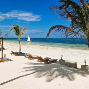 Explore Zanzibar Family Package for 7 days with Beach and Safari Holidays and discover unforgettable experiences - Photo 5