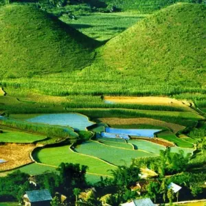 Explore Exploring Mystery Throughout Vietnam Tour 14 Days/13Nights for 14 days with Bee Gng International Joint Stock Company and discover unforgettable experiences - Photo 5