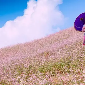 Explore Exploring Mystery Throughout Vietnam Tour 14 Days/13Nights for 14 days with Bee Gng International Joint Stock Company and discover unforgettable experiences - Photo 6