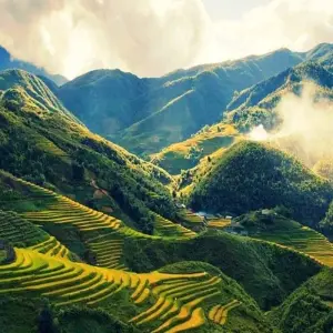 Explore Exploring Mystery Throughout Vietnam Tour 14 Days/13Nights for 14 days with Bee Gng International Joint Stock Company and discover unforgettable experiences - Photo 7