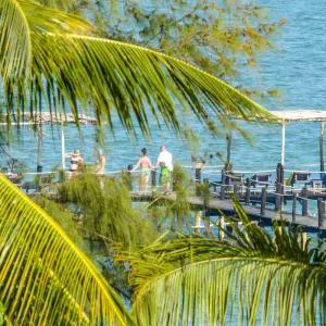 Explore Zanzibar Family Package for 7 days with Beach and Safari Holidays and discover unforgettable experiences - Photo 9