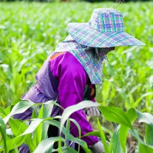 Explore Embark on a thrilling trekking adventure in Chiang Rai - 3Days/2Nights for 3 days with Bee Gng International Joint Stock Company and discover unforgettable experiences - Photo 4