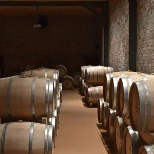 Explore Exploring the unique highlights of Phu Quoc Island -3Days/2Nights for 3 days with Bee Gng International Joint Stock Company and discover unforgettable experiences - Photo 4