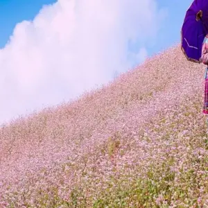 Explore Unique Northeast Adventure Vietnam : Ha Giang,Ban Gioc Waterfall, Ba Be Lake, Sapa, Fansipang - 7Days/6Nights for 7 days with Bee Gng International Joint Stock Company and discover unforgettable experiences - Photo 6