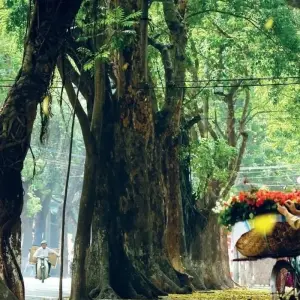 Explore Amazing North to South Vietnam Itinerary 18 Days/17Nights for 18 days with Bee Gng International Joint Stock Company and discover unforgettable experiences - Photo 2