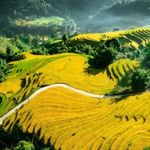 Explore Essence of Northern Vietnam Itinerary 7 Days/6nights for 7 days with Bee Gng International Joint Stock Company and discover unforgettable experiences - Photo 2