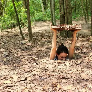 Explore Exploring Central to Southern Vietnam Itinerary 7 Days/6Nights for 7 days with Bee Gng International Joint Stock Company and discover unforgettable experiences - Photo 5