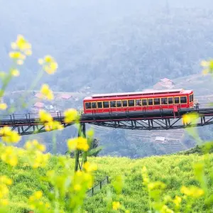 Explore Vietnam  Adventure By Train Tour in 15 days for 15 days with Bee Gng International Joint Stock Company and discover unforgettable experiences - Photo 10