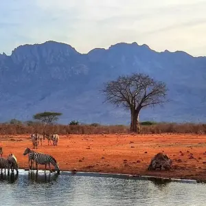 Explore 3 Days Samburu Cultural and Wildlife Safari for 3 days with Bencia Africa Adventure and Safaris and discover unforgettable experiences - Photo 2