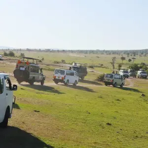 Explore 3 Day Masai Mara Wildlife Safari Adventure for 3 days with Bencia Africa Adventure and Safaris and discover unforgettable experiences - Photo 3