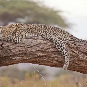 Explore 2 Day Hell's Gate Naivasha and Lake Nakuru Safari for 2 days with Bencia Africa Adventure and Safaris and discover unforgettable experiences - Photo 3