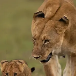 Explore CITY EXCURSION for 1 days with Bencia Africa Adventure and Safaris and discover unforgettable experiences - Photo 5